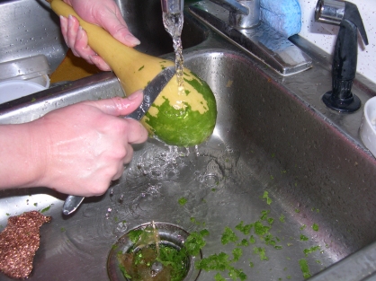 Scraping a green gourd