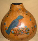 Gourd Bluebird