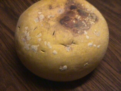 Gourd damaged from early cleaning