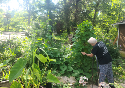 Dan on August 18, 2024 at gourd tree planted May 14, 2024