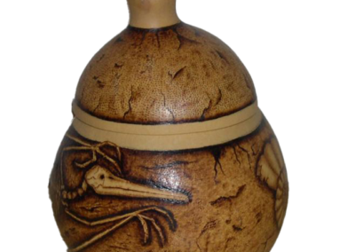 Jackson's Fossil Gourd