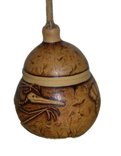 Jackson's Fossil Gourd
