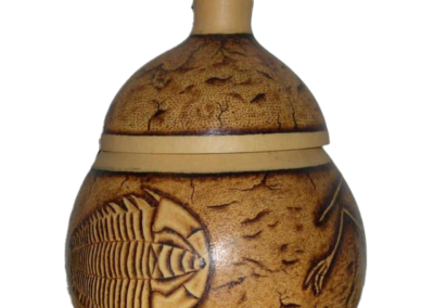 Jackson's Fossil Gourd