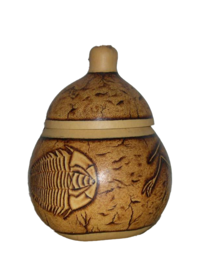 Jackson's Fossil Gourd