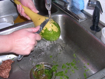 00558 green cleaning gourd