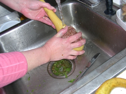 00559 cleaning a green gourd