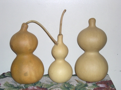 00563 3 gourds with different types of cleaning