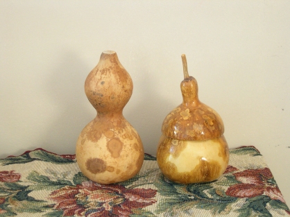 00565 Two gourds dried naturally