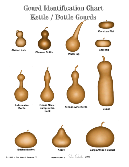 chartk Gourd Chart #2 By Dan Dunkin