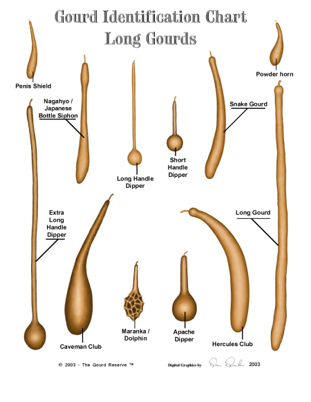 Dan's Gourd Chart 1 Dan's Gourd Chart 1