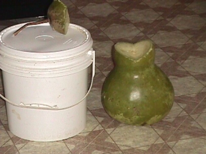 e02 rotting a gourd