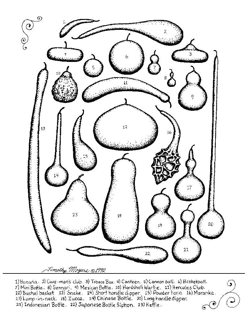 timschartlg Tim's gourd chart